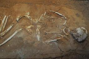 Археологи обнаружили древнегреческие могилы нежити