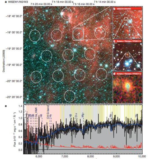Изображение: doi:10.1038 / nature17140