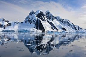 В горах Антарктиды нашли морские водоросли