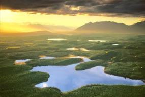 Возникновение жизни в воде подвергли сомнению