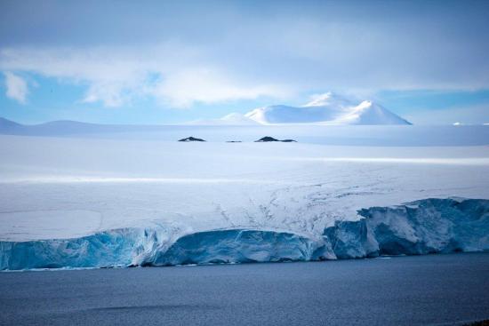 Антарктида. Фото из открытых источников.