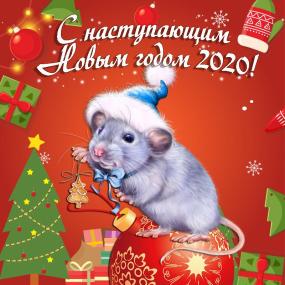 С новым 2020 годом!