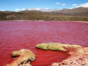 В Мексике в озере вода стала красной