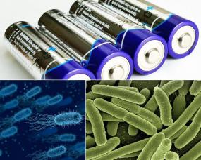 В Германии придумали батарейки из бактерий
