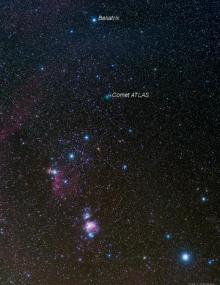 Комета ATLAS летит к Беллатрикс