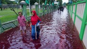 В Индонезии вода стала красная