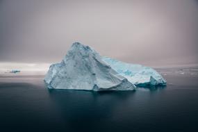 Отколовшийся айсберг в Антарктиде открыл удивительный мир