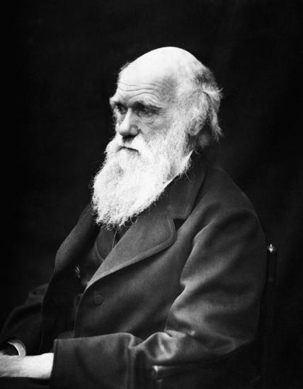Чарлз Роберт Дарвин. Фото 1869 года.
