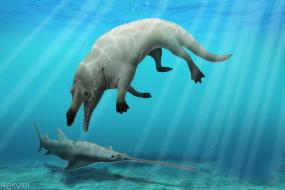 Древние киты имели по 4 лапы и могли охотиться на суше