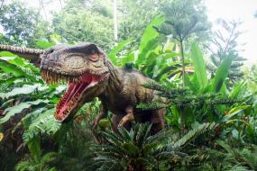 Новый вид динозавра нашли в Китае