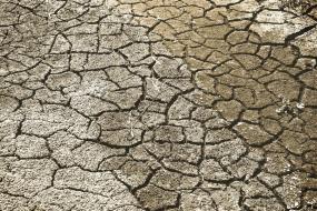Ученые прогнозируют катастрофические засухи в Африке