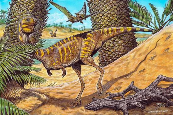Палеонтологи нашли останки редкого беззубого динозавра.