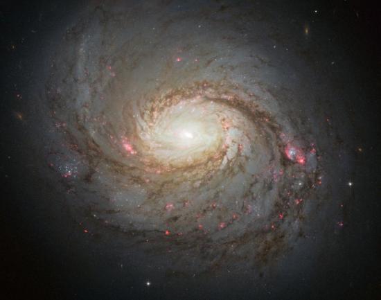 Галактика М77.
