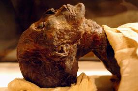 Египетские ученые нашли мумию царицы Хатшепсут