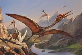Ученые выяснили, что гигантский птерозавр с девятиметровыми крыльями летал очень плохо