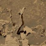Какие-то «стебли» попали на фото на Марсе