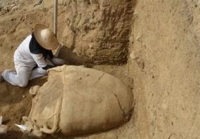 В Иране случайно обнаружили некрополь Парфянского царства