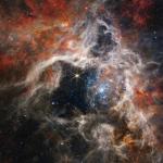Телескоп НАСА Джеймс Уэбб зафиксировал новые звезды