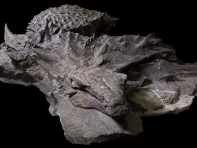 Ученые нашли самую старую мумию динозавра