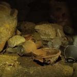 Погребальная пещера времен Рамсеса II обнаружена на побережье Израиля