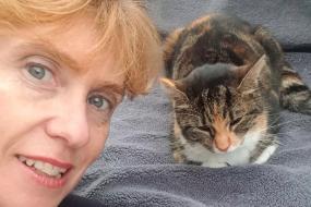 Вещий сон помог британке найти сбежавшую кошку