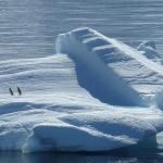 Портал в ледяное прошлое пробурили в Антарктиде