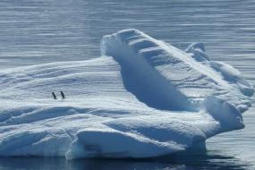 Портал в ледяное прошлое пробурили в Антарктиде