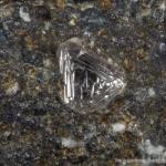 Самый древний алмаз нашли в Якутии
