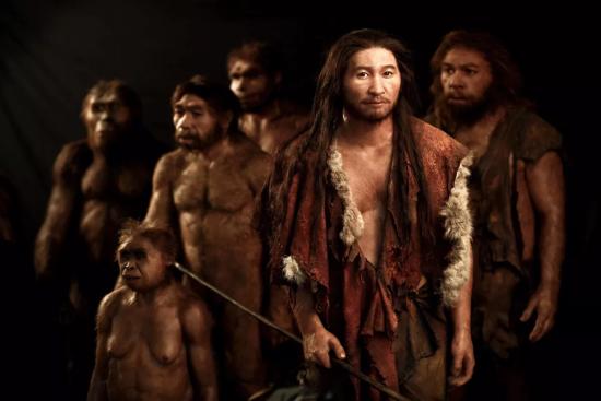 Homo sapiens.