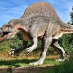 Обнаружен новый вид динозавра в Индии