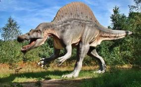Обнаружен новый вид динозавра в Индии