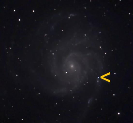 SN 2023ixf.