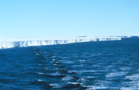 Антарктический ледник "прыгает" дважды в день