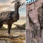Открыты следы одного из наибольших хищников динозавров