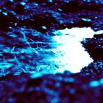 Жидкая вода на астероиде Рюгу существовала гораздо дольше, чем считалось возможным