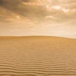 Люди как катализатор опустынивания Сахары: новая гипотеза завершения Африканского влажного периода