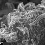 Учёные переоценили доказательства внеземной жизни: от метеоритов до ледяных лун