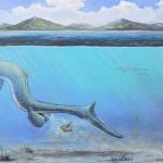 Гигантское яйцо из Антарктиды принадлежало древнему морскому ящеру