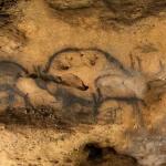 Радиоуглеродный анализ впервые датировал наскальные рисунки во Франции