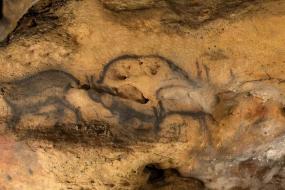  Радиоуглеродный анализ впервые датировал наскальные рисунки во Франции