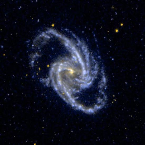 NGC 1365.