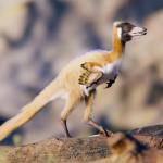 Микро-динозавр весом менее килограмма переворачивает эволюционные представления