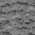 Марсоход Curiosity нашел на Марсе необычные многоугольные образования