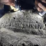 Редкий рунический камень обнаружен на Фарерских островах в полу часовни