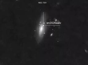  Астрономы БФУ запечатлели вспышку сверхновой в галактике NGC 7331