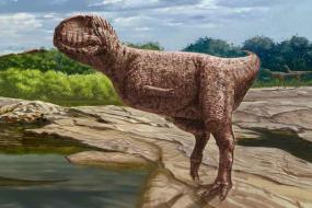 В пустыне Сахара обнаружили хищных динозавров