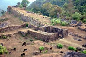 Археологи нашли неизвестный 2000-летний город в Индии