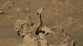 Какие-то «стебли» попали на фото на Марсе