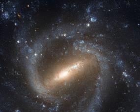 Спиральная галактика NGC 1073