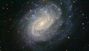 Галактика NGC 1187